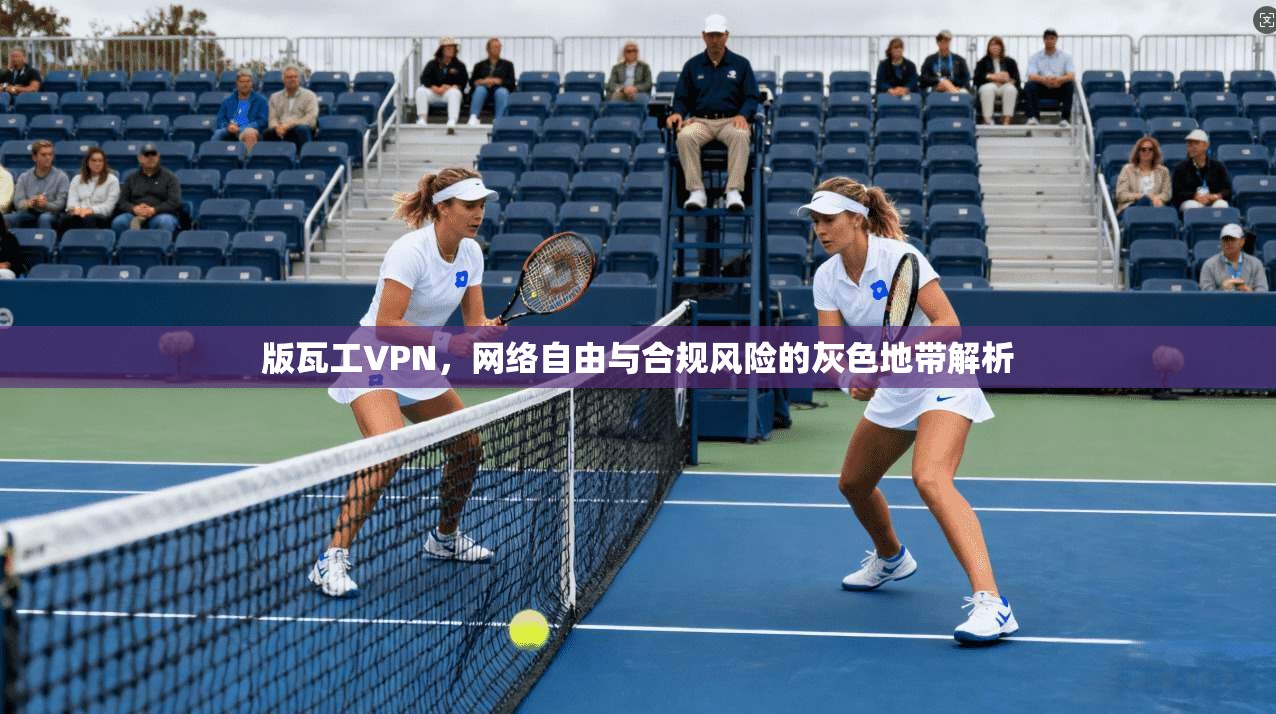 版瓦工VPN,网络自由与合规风险的灰色地带解析 版瓦工VPN,网络自由与合规风险的灰色地带解析