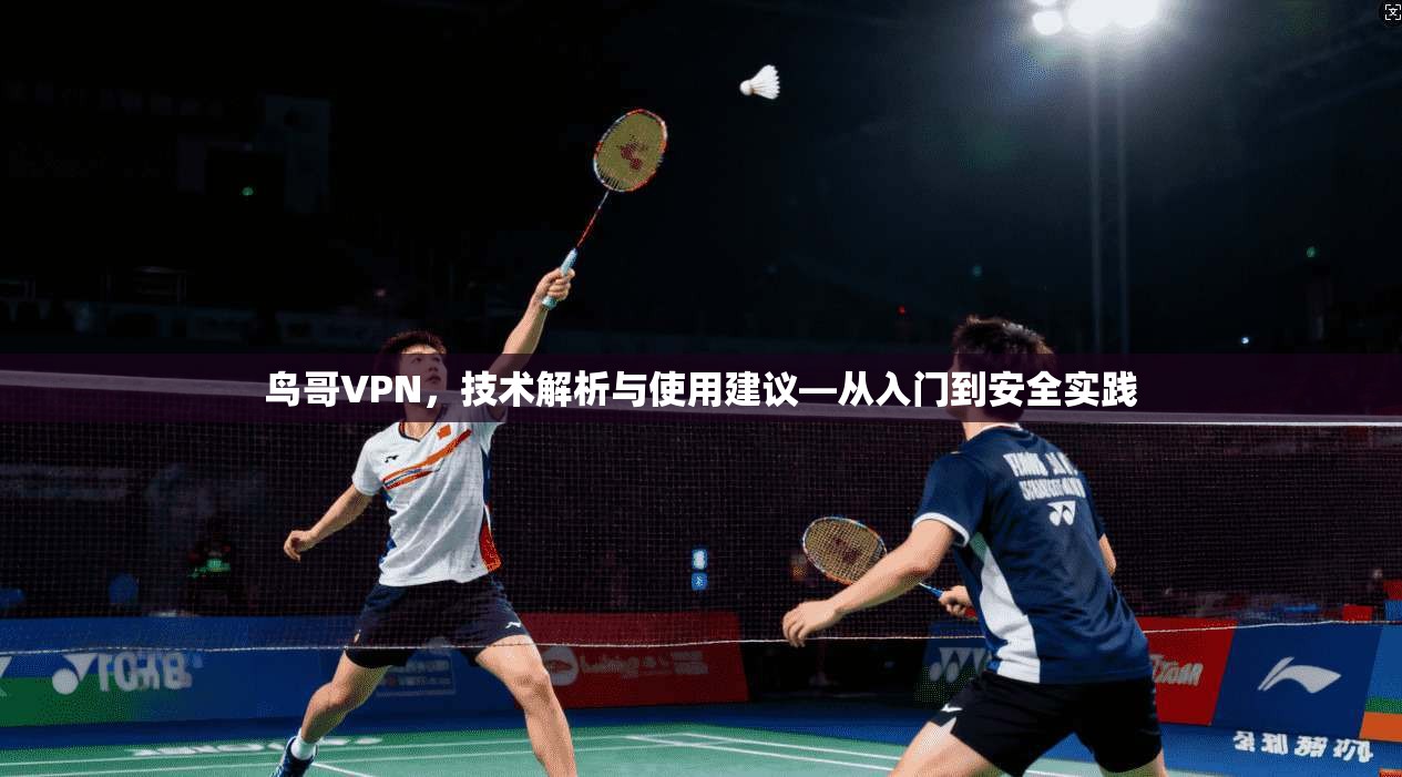 鸟哥VPN,技术解析与使用建议—从入门到安全实践 鸟哥VPN,技术解析与使用建议—从入门到安全实践