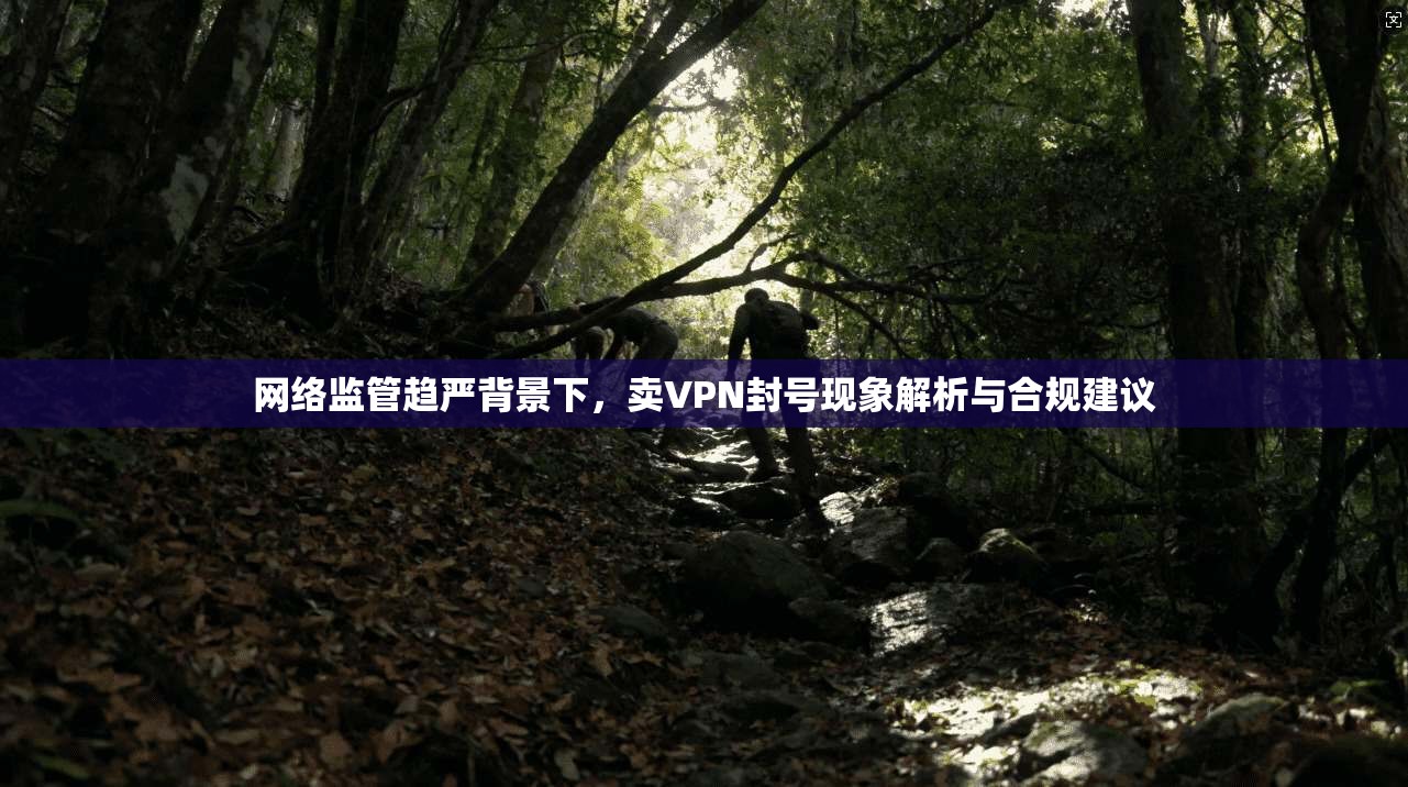 网络监管趋严背景下,卖VPN封号现象解析与合规建议 网络监管趋严背景下,卖VPN封号现象解析与合规建议
