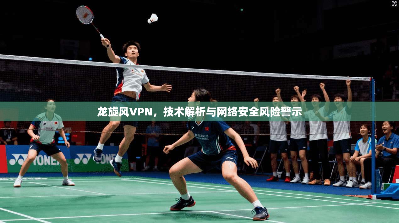 龙旋风VPN,技术解析与网络安全风险警示 龙旋风VPN,技术解析与网络安全风险警示
