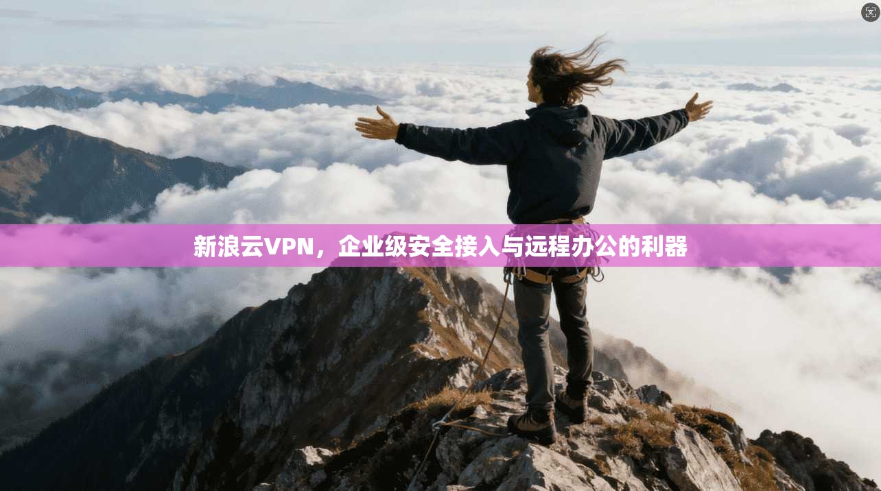 新浪云VPN,企业级安全接入与远程办公的利器 新浪云VPN,企业级安全接入与远程办公的利器