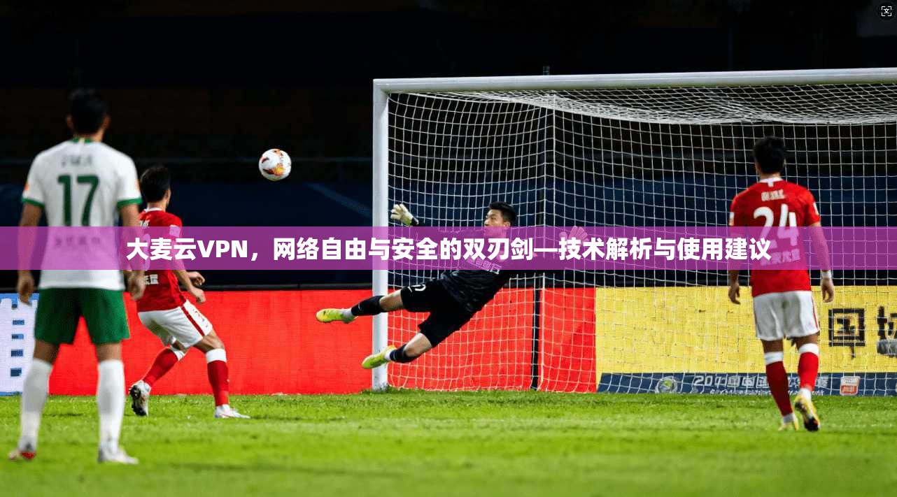 大麦云VPN,网络自由与安全的双刃剑—技术解析与使用建议 大麦云VPN,网络自由与安全的双刃剑—技术解析与使用建议