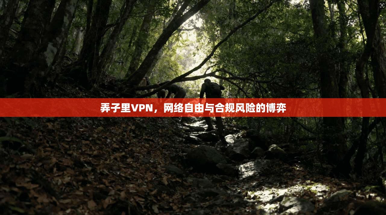弄子里VPN，网络自由与合规风险的博弈