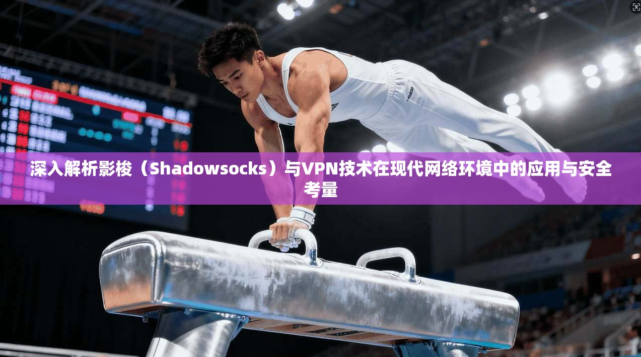 深入解析影梭（Shadowsocks）与VPN技术在现代网络环境中的应用与安全考量