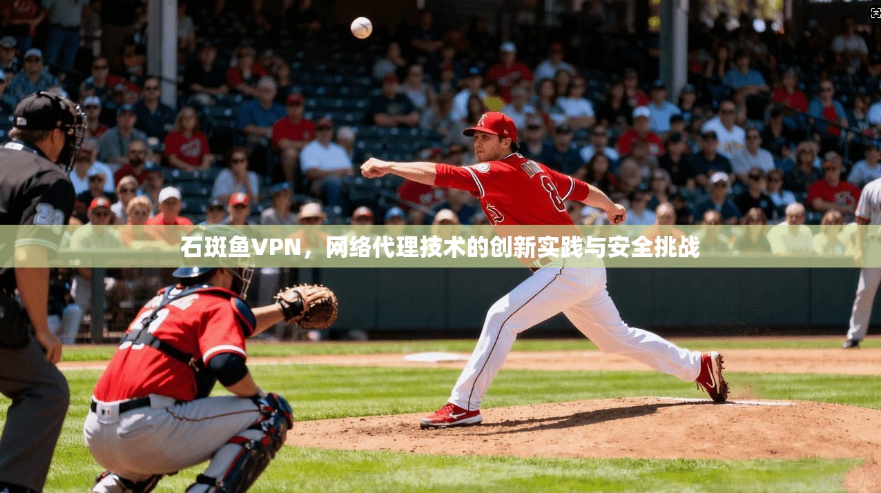 石斑鱼VPN，网络代理技术的创新实践与安全挑战