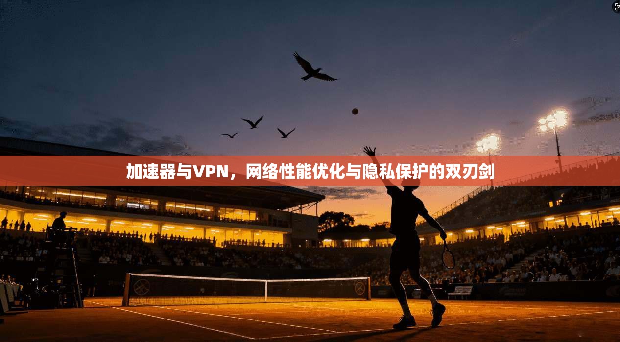 加速器与VPN，网络性能优化与隐私保护的双刃剑