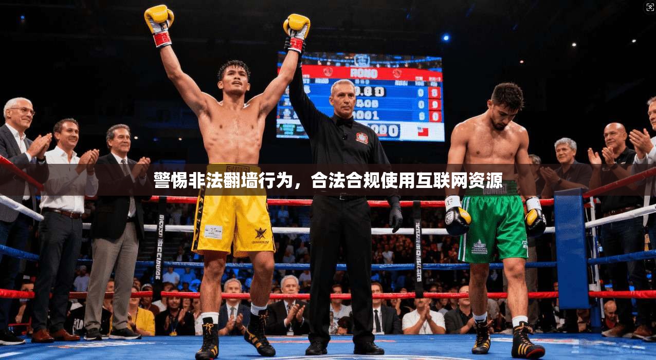 警惕非法翻墙行为,合法合规使用互联网资源 警惕非法翻墙行为,合法合规使用互联网资源