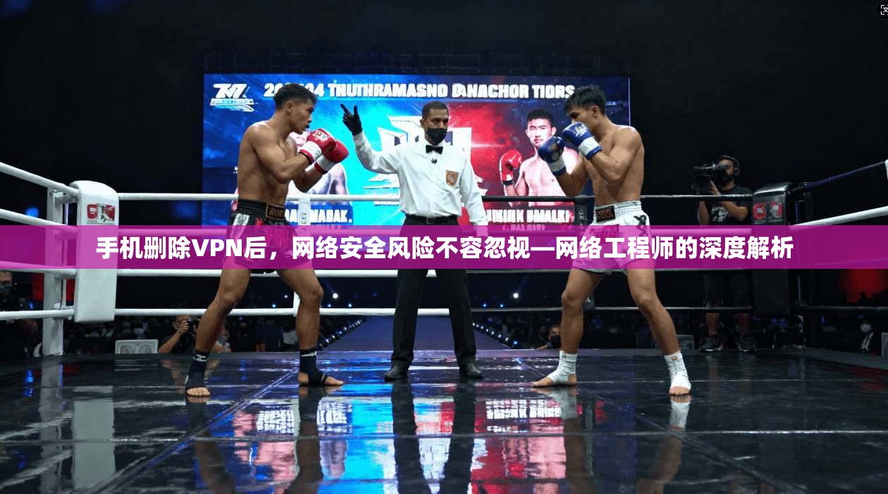 手机删除VPN后，网络安全风险不容忽视—网络工程师的深度解析