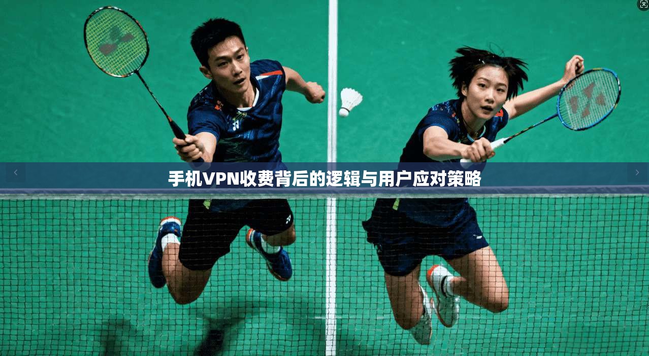 手机VPN收费背后的逻辑与用户应对策略