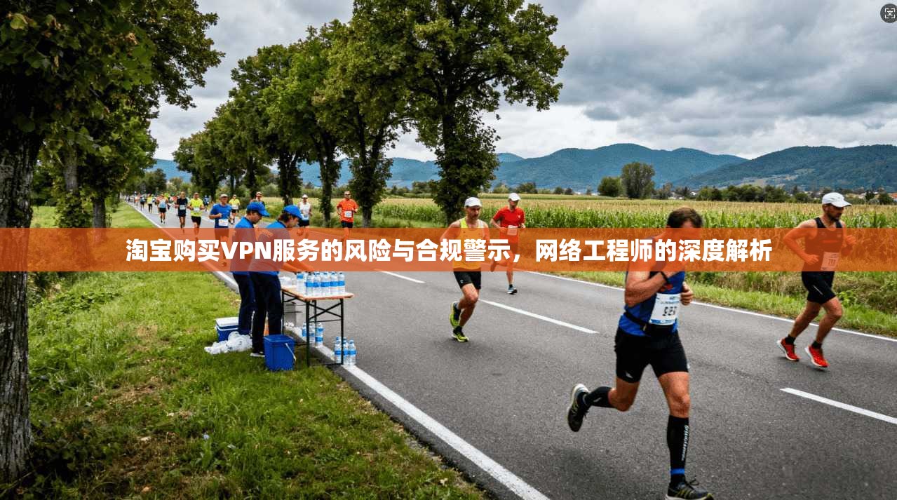 淘宝购买VPN服务的风险与合规警示，网络工程师的深度解析