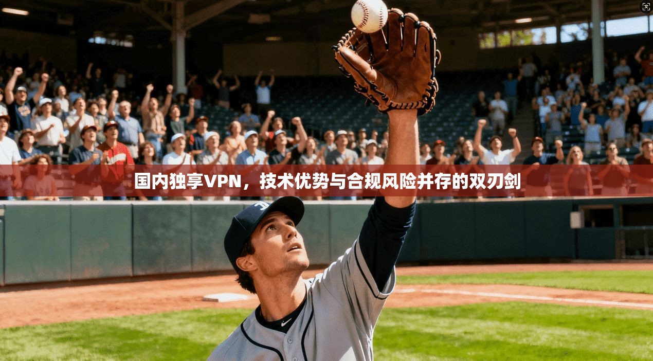 国内独享VPN,技术优势与合规风险并存的双刃剑 国内独享VPN,技术优势与合规风险并存的双刃剑