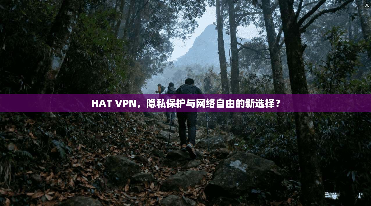 HAT VPN，隐私保护与网络自由的新选择？