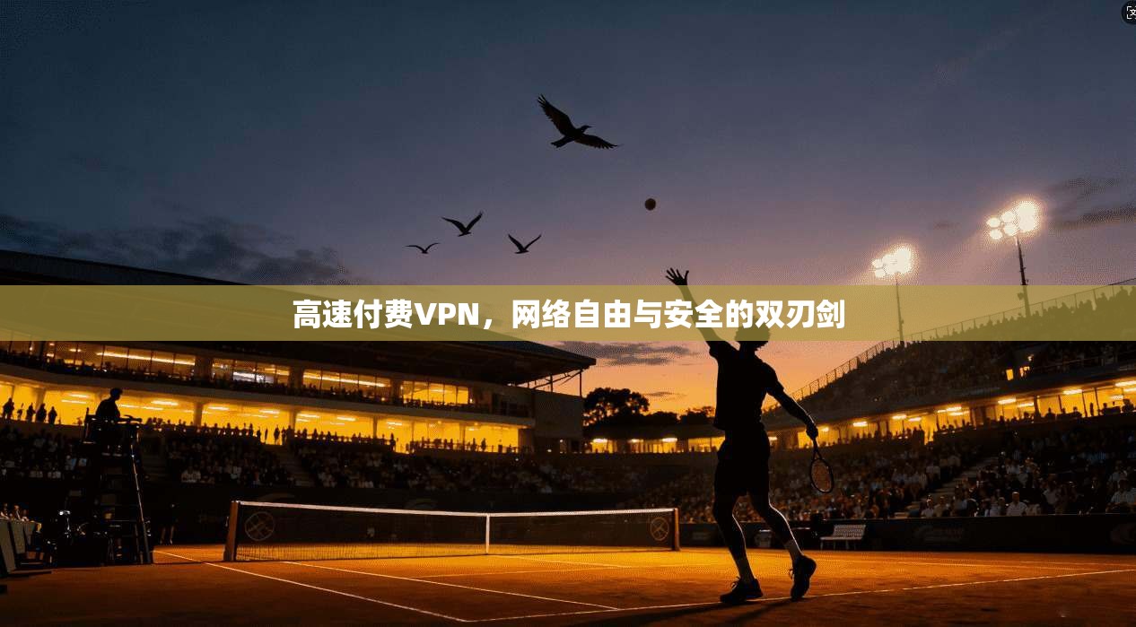 高速付费VPN，网络自由与安全的双刃剑