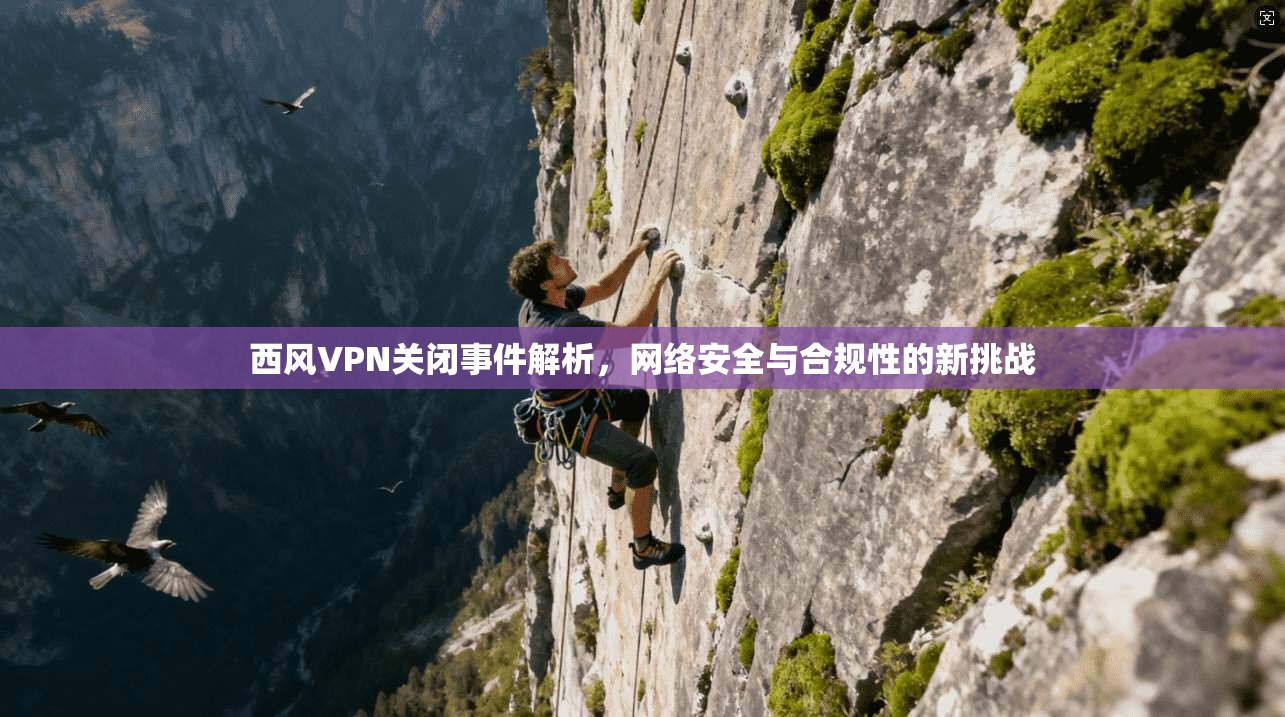 西风VPN关闭事件解析，网络安全与合规性的新挑战