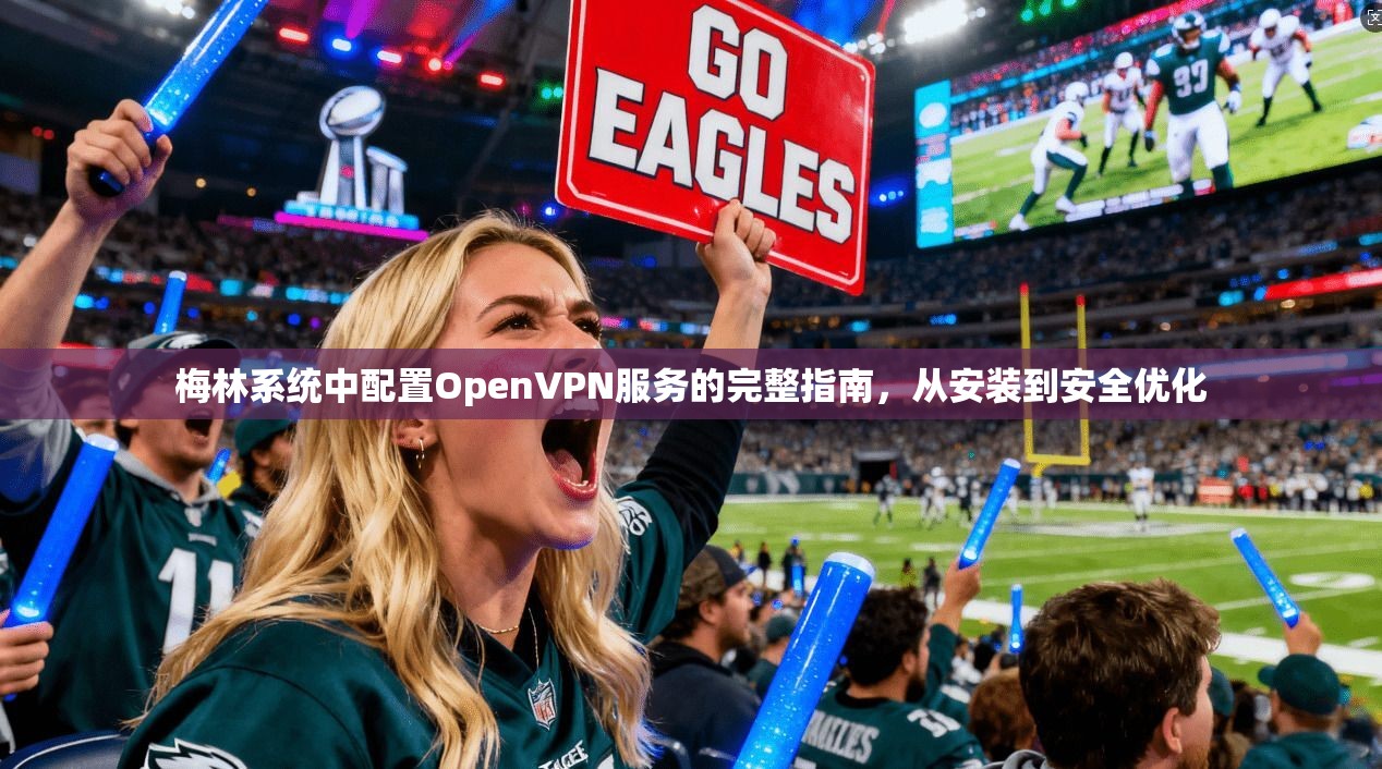 梅林系统中配置OpenVPN服务的完整指南,从安装到安全优化 梅林系统中配置OpenVPN服务的完整指南,从安装到安全优化
