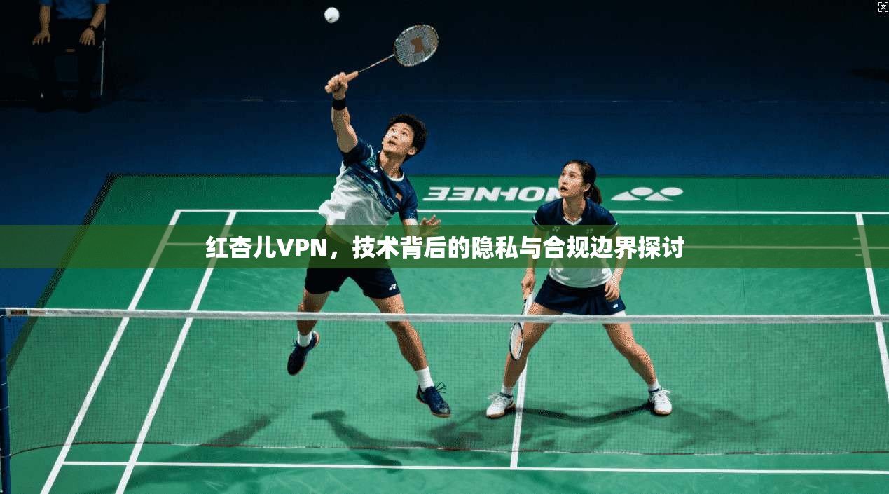 红杏儿VPN,技术背后的隐私与合规边界探讨 红杏儿VPN,技术背后的隐私与合规边界探讨