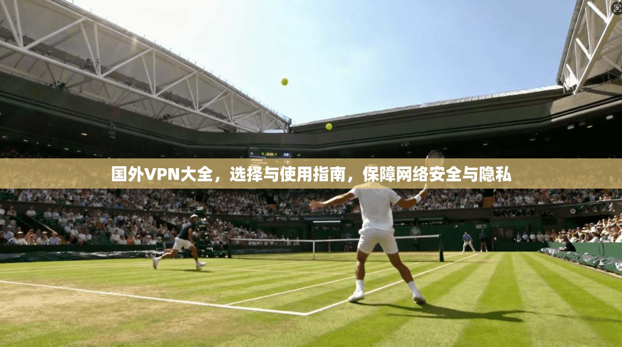 国外VPN大全,选择与使用指南,保障网络安全与隐私 国外VPN大全,选择与使用指南,保障网络安全与隐私
