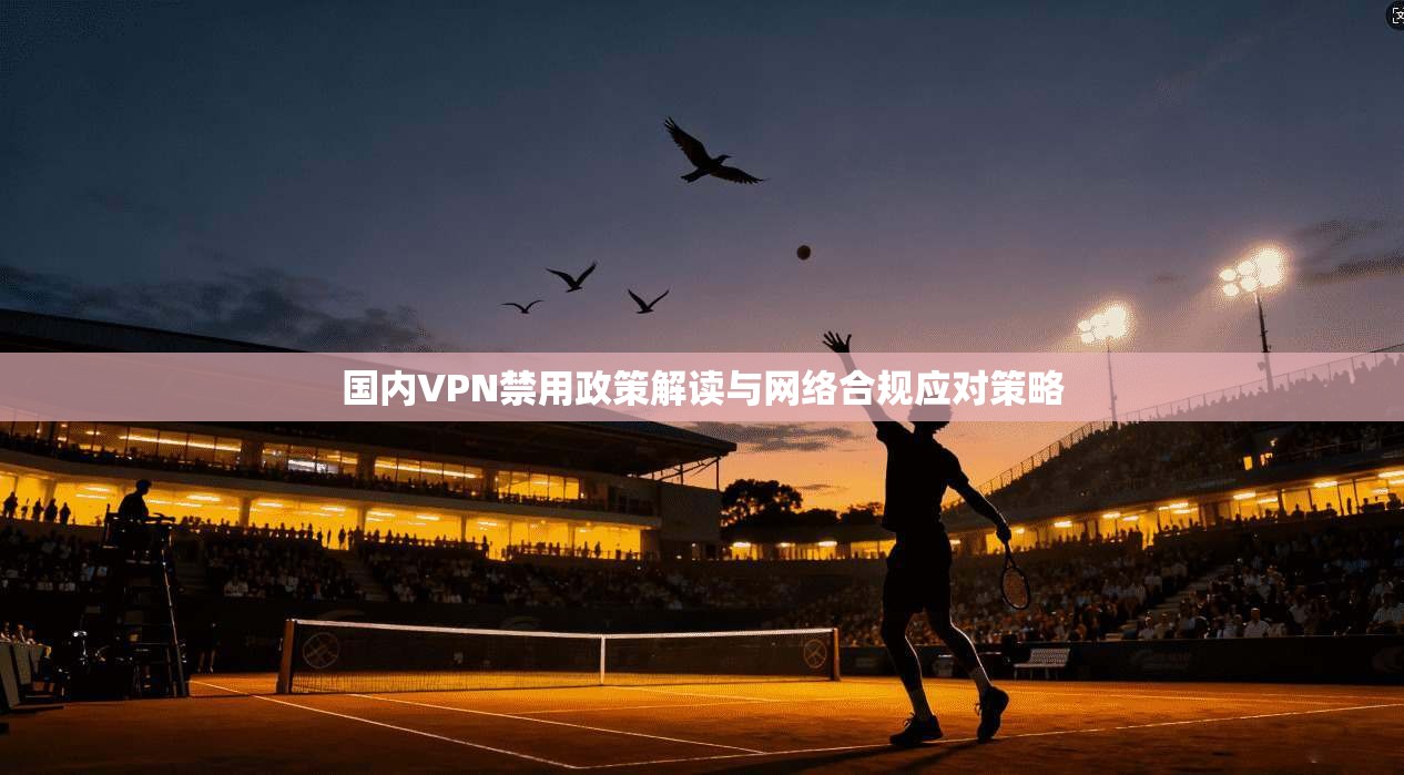 国内VPN禁用政策解读与网络合规应对策略 国内VPN禁用政策解读与网络合规应对策略