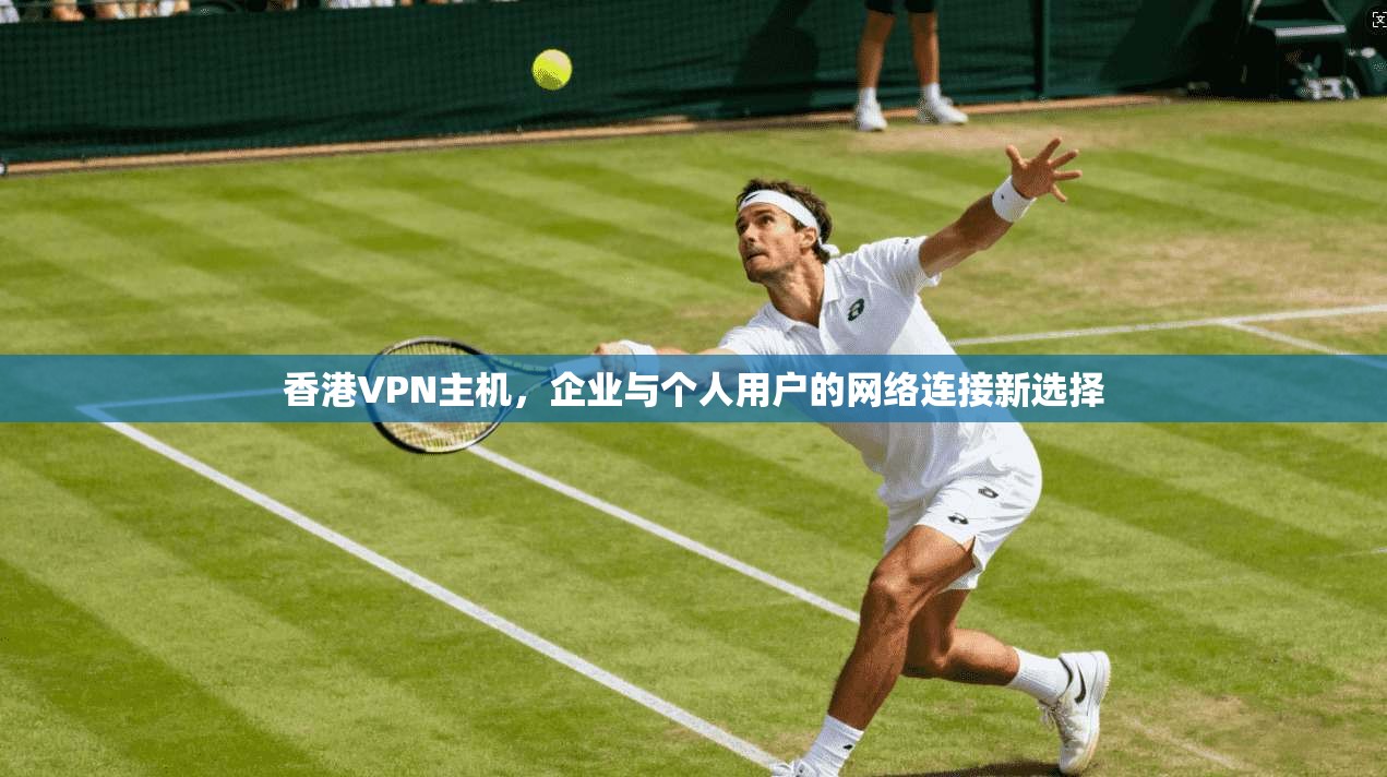 香港VPN主机,企业与个人用户的网络连接新选择 香港VPN主机,企业与个人用户的网络连接新选择