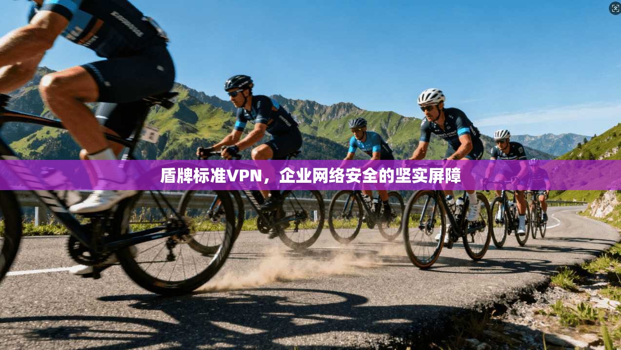 盾牌标准VPN，企业网络安全的坚实屏障