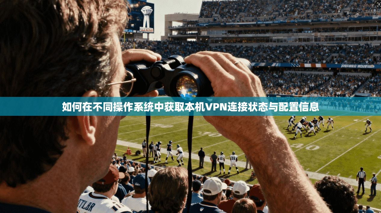 如何在不同操作系统中获取本机VPN连接状态与配置信息