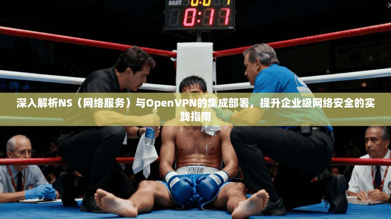 深入解析NS(网络服务)与OpenVPN的集成部署,提升企业级网络安全的实践指南 深入解析NS(网络服务)与OpenVPN的集成部署,提升企业级网络安全的实践指南