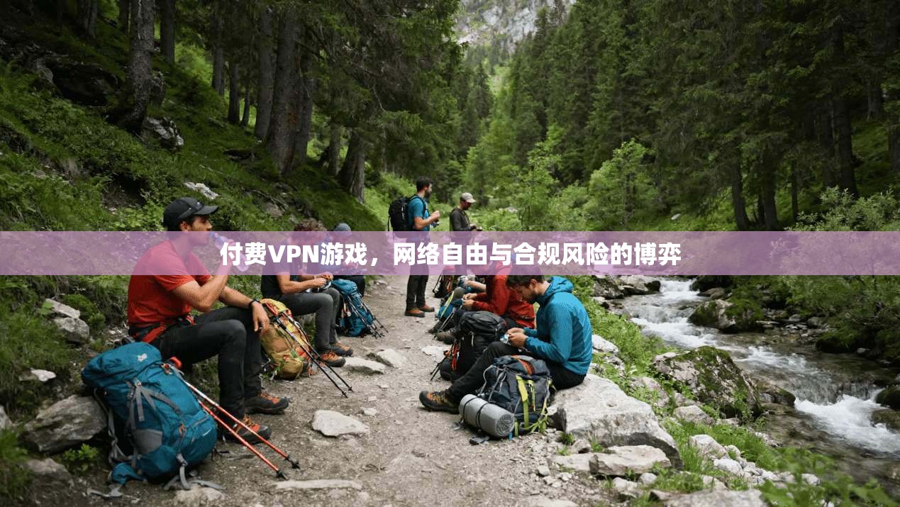 付费VPN游戏,网络自由与合规风险的博弈 付费VPN游戏,网络自由与合规风险的博弈