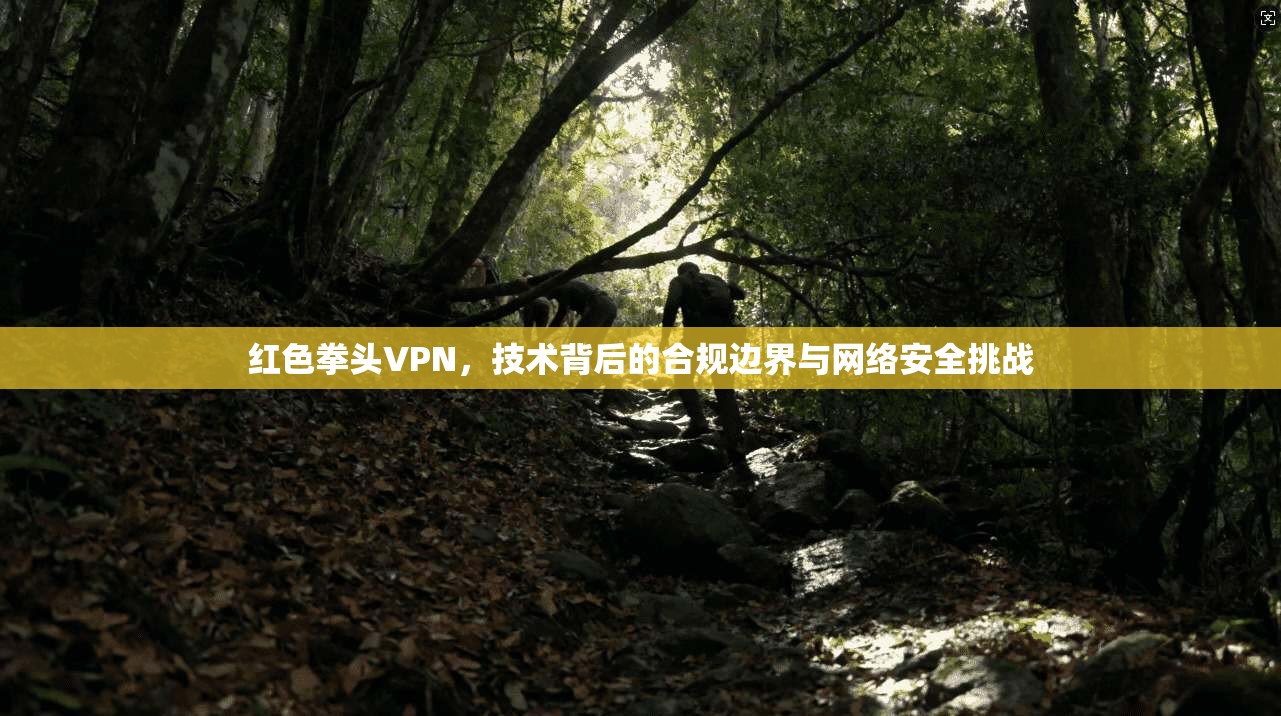 红色拳头VPN,技术背后的合规边界与网络安全挑战 红色拳头VPN,技术背后的合规边界与网络安全挑战