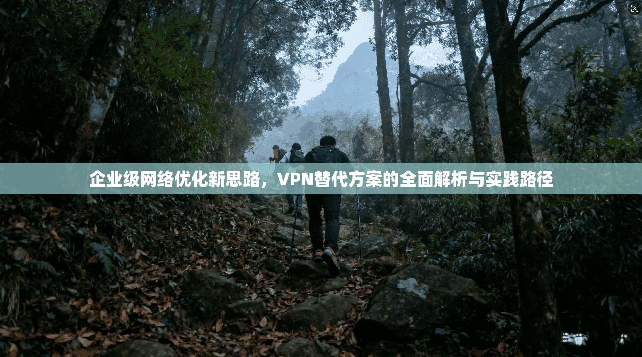 企业级网络优化新思路，VPN替代方案的全面解析与实践路径
