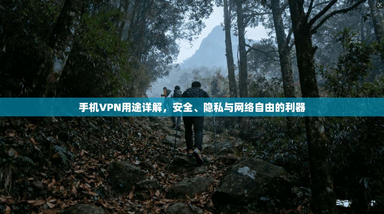 手机VPN用途详解，安全、隐私与网络自由的利器