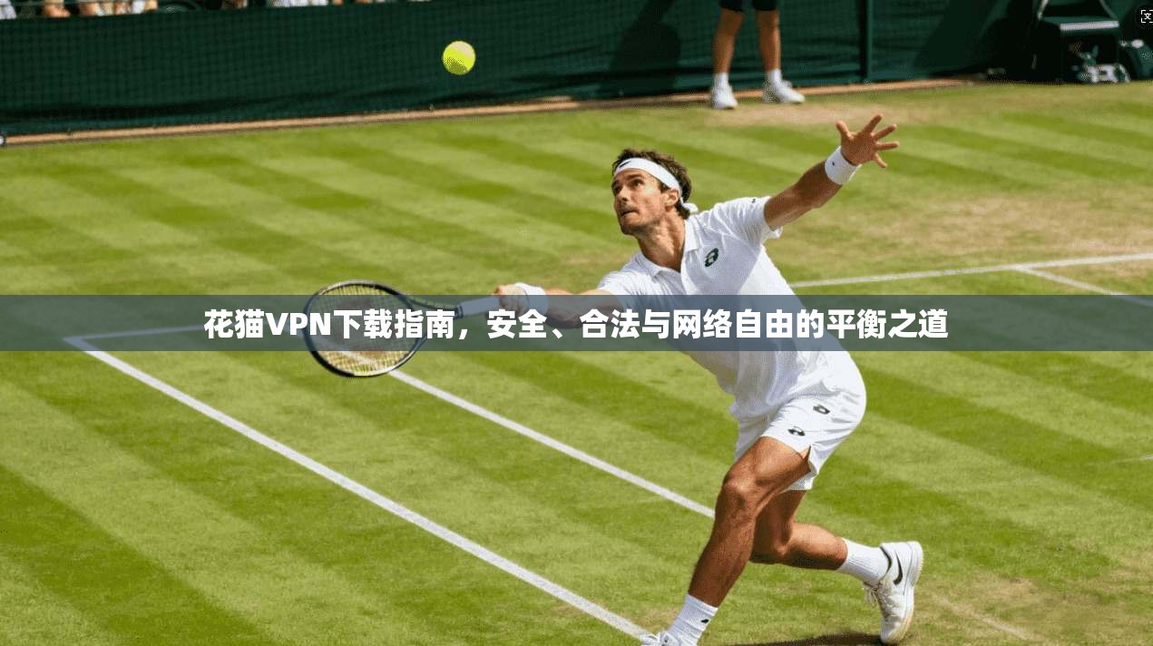 花猫VPN下载指南，安全、合法与网络自由的平衡之道