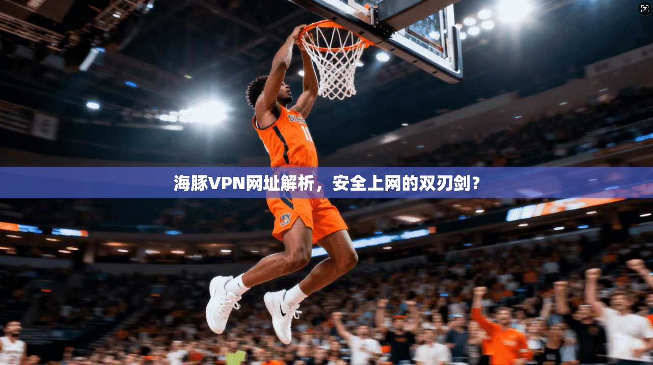 海豚VPN网址解析，安全上网的双刃剑？