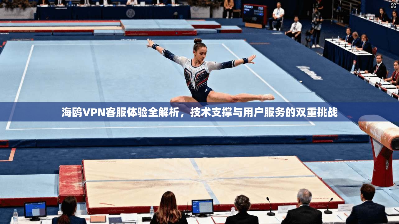 海鸥VPN客服体验全解析,技术支撑与用户服务的双重挑战 海鸥VPN客服体验全解析,技术支撑与用户服务的双重挑战