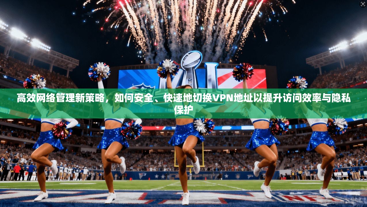 高效网络管理新策略，如何安全、快速地切换VPN地址以提升访问效率与隐私保护