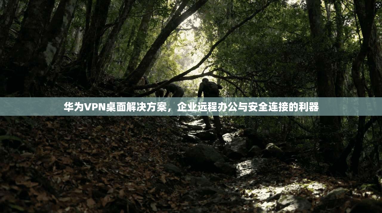 华为VPN桌面解决方案，企业远程办公与安全连接的利器