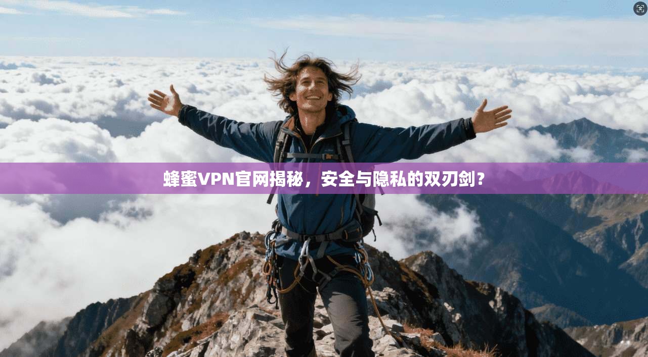 蜂蜜VPN官网揭秘，安全与隐私的双刃剑？