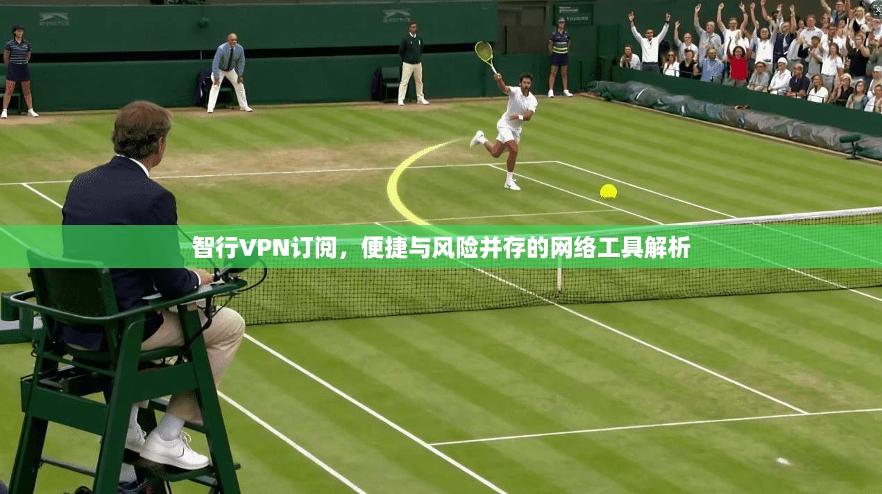智行VPN订阅,便捷与风险并存的网络工具解析 智行VPN订阅,便捷与风险并存的网络工具解析