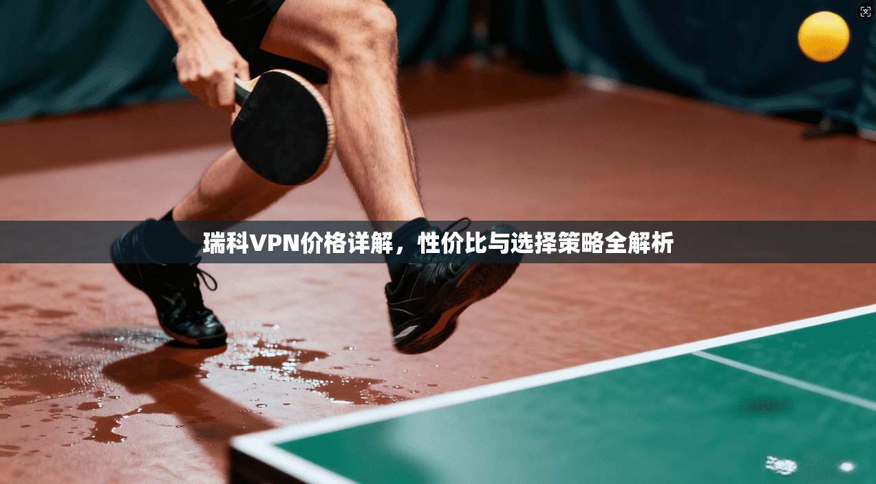 瑞科VPN价格详解,性价比与选择策略全解析 瑞科VPN价格详解,性价比与选择策略全解析