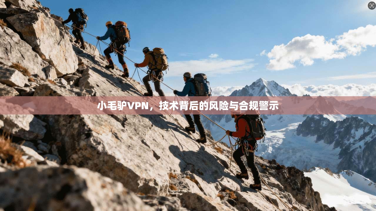 小毛驴VPN,技术背后的风险与合规警示 小毛驴VPN,技术背后的风险与合规警示