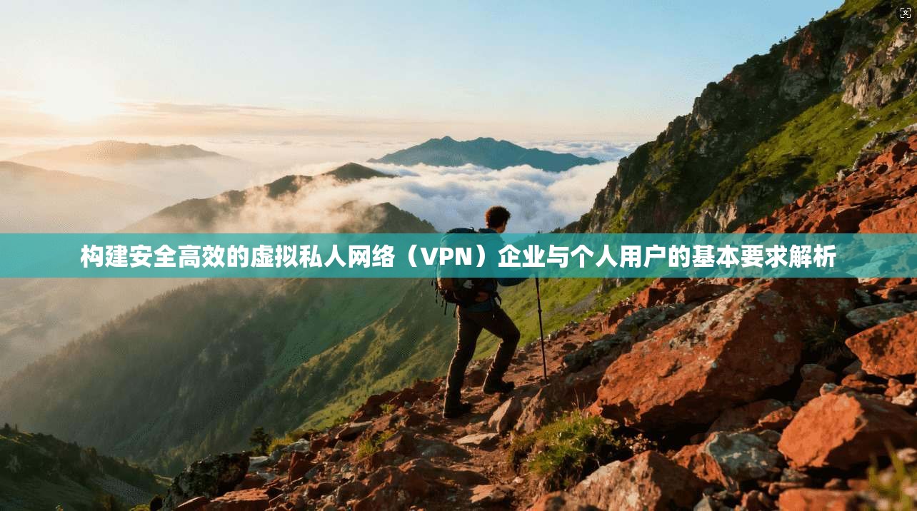 构建安全高效的虚拟私人网络（VPN）企业与个人用户的基本要求解析