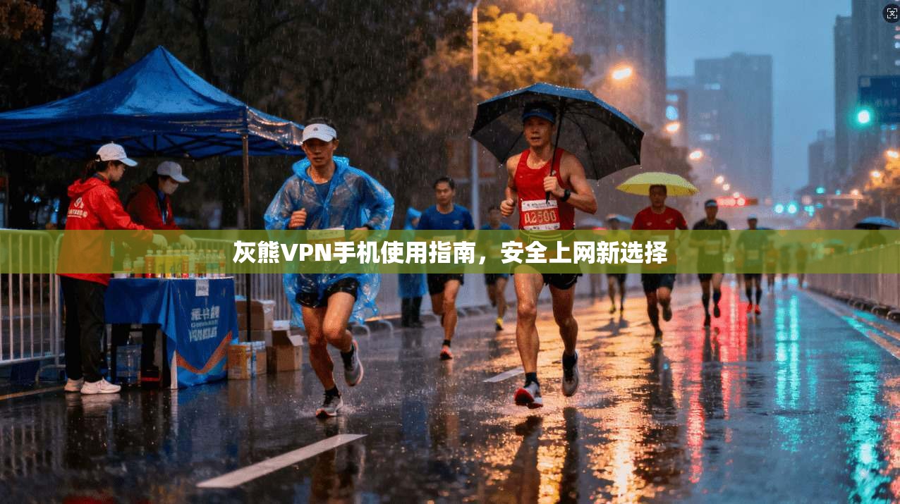 灰熊VPN手机使用指南,安全上网新选择 灰熊VPN手机使用指南,安全上网新选择