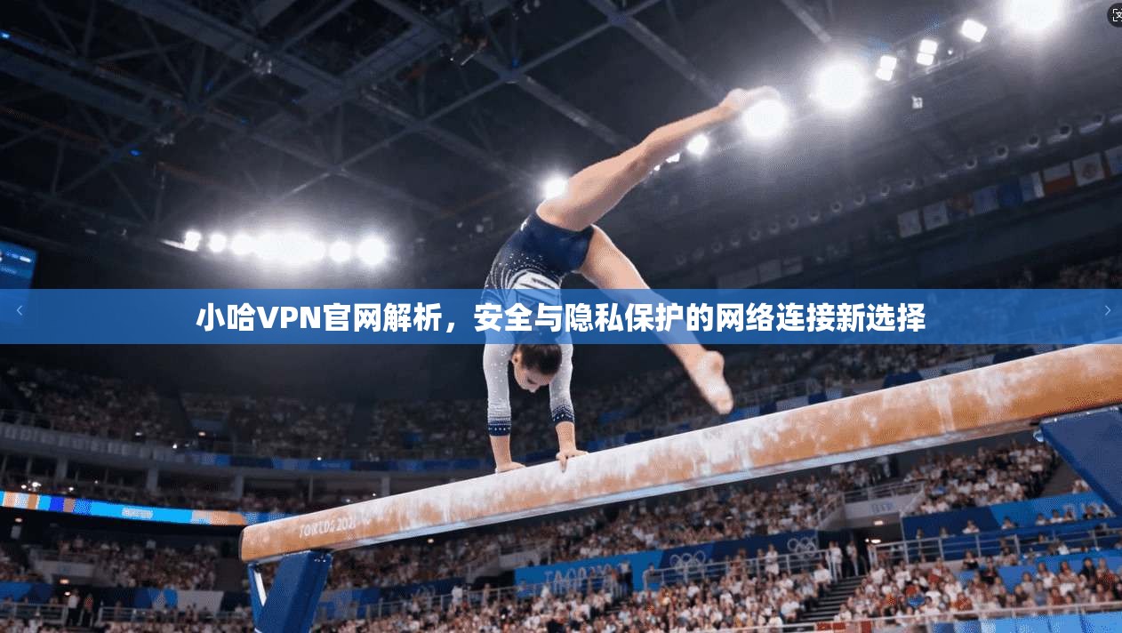 小哈VPN官网解析,安全与隐私保护的网络连接新选择 小哈VPN官网解析,安全与隐私保护的网络连接新选择