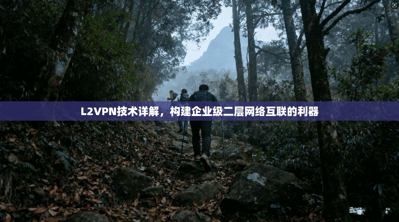 L2VPN技术详解，构建企业级二层网络互联的利器