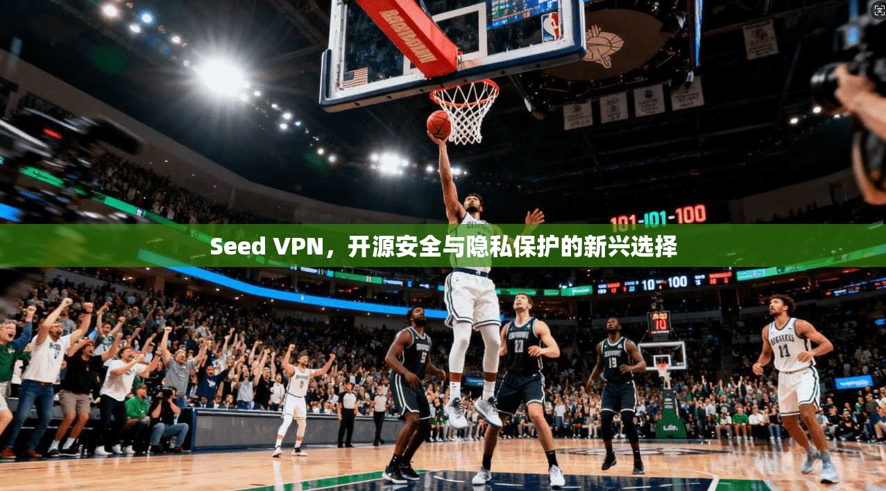 Seed VPN,开源安全与隐私保护的新兴选择 Seed VPN,开源安全与隐私保护的新兴选择