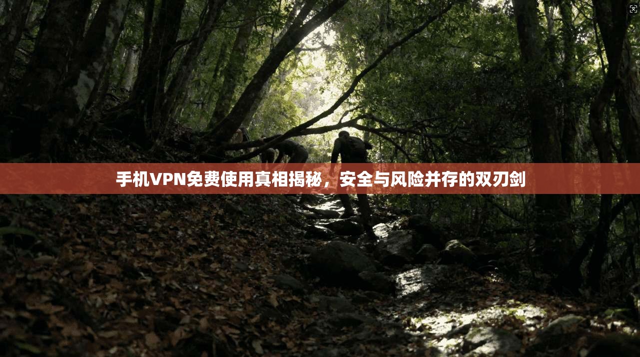 手机VPN免费使用真相揭秘,安全与风险并存的双刃剑 手机VPN免费使用真相揭秘,安全与风险并存的双刃剑