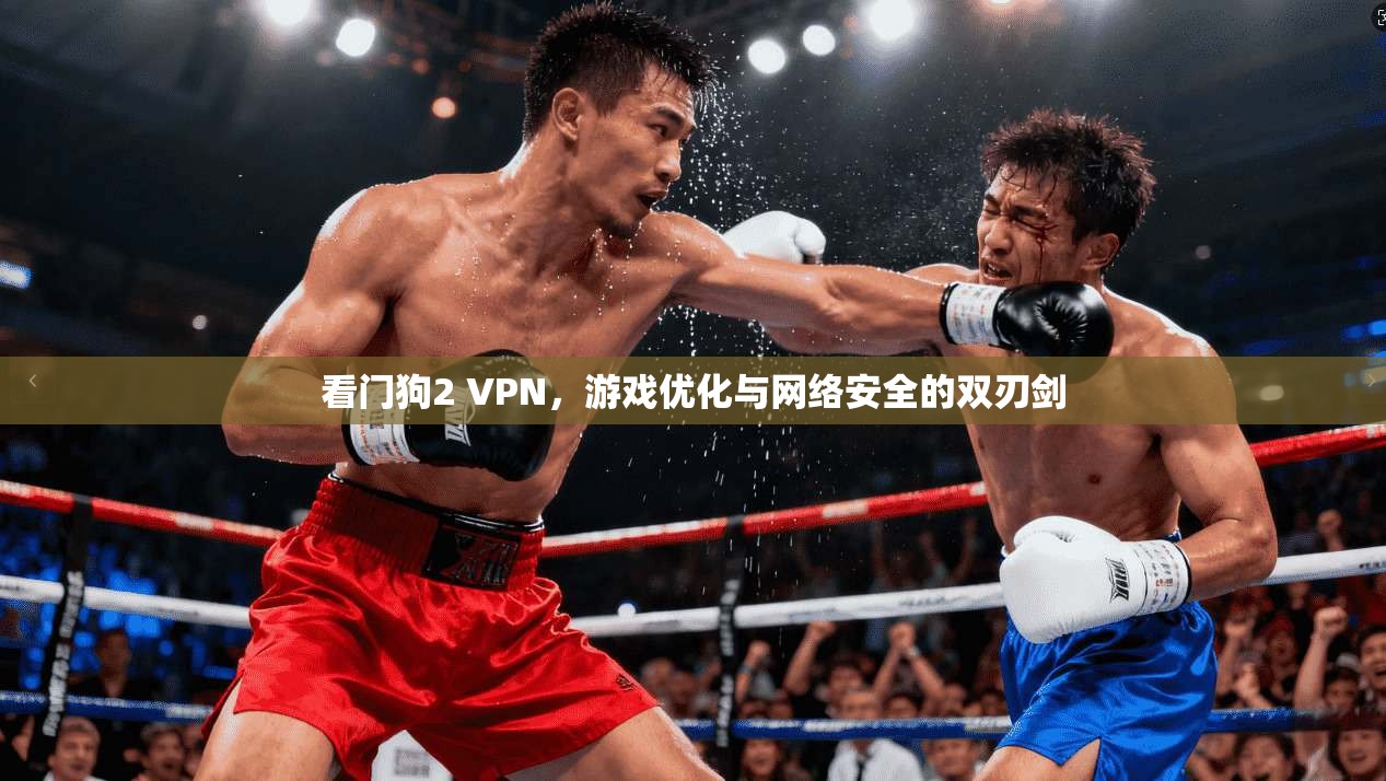 看门狗2 VPN，游戏优化与网络安全的双刃剑