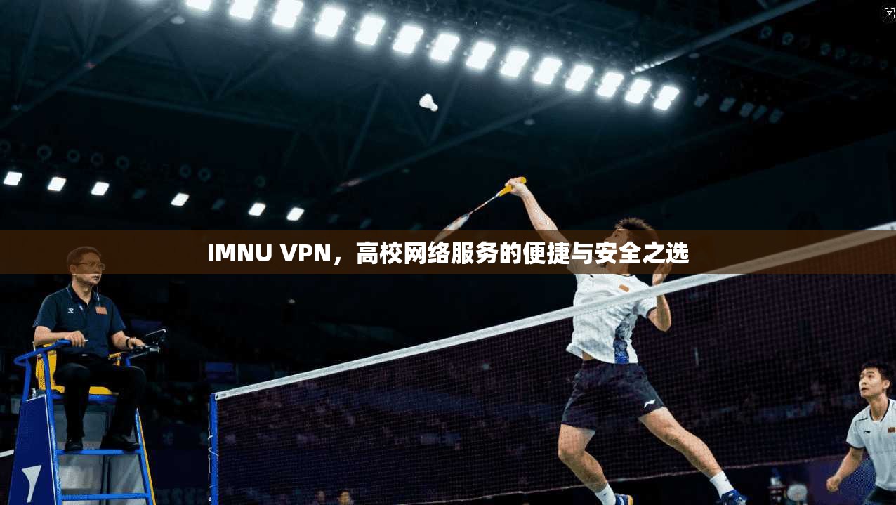 IMNU VPN，高校网络服务的便捷与安全之选