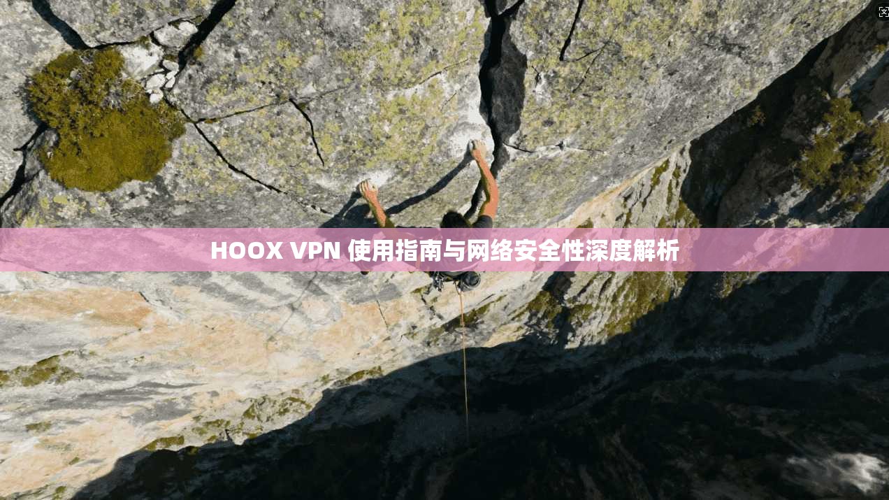 HOOX VPN 使用指南与网络安全性深度解析