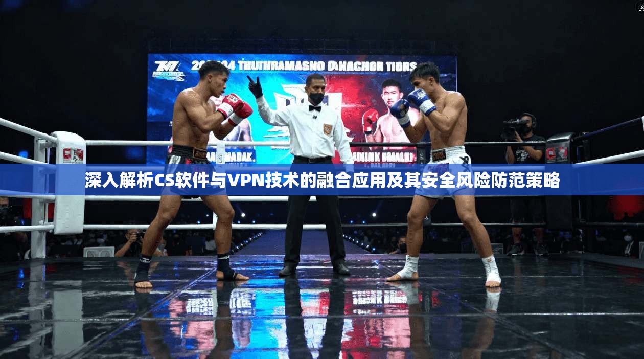 深入解析CS软件与VPN技术的融合应用及其安全风险防范策略