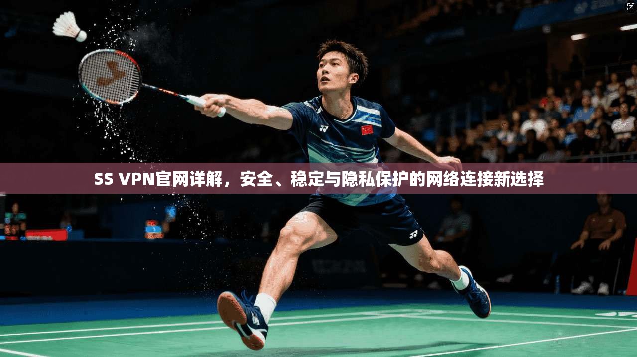 SS VPN官网详解，安全、稳定与隐私保护的网络连接新选择